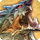 Leviathan card icon1.png