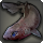 Kitefin shark icon1.png