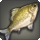 Temple carp icon1.png