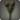 Black tulips icon1.png