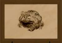 Bullfrog print.png