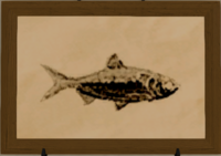 Northern Herring print.png