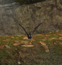 Woodbat.png