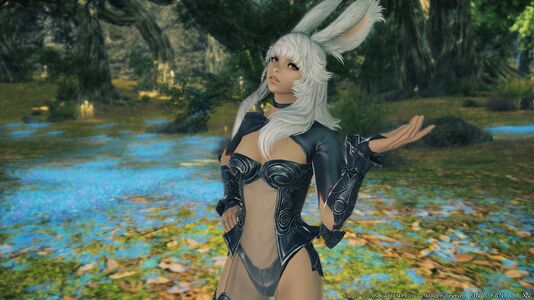 Viera2.jpg