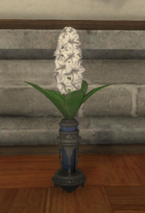 White Hyacinths.png