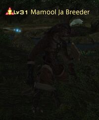 Mamool Ja Breeder.jpg