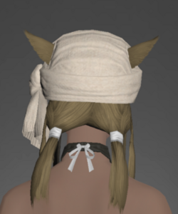 Cotton Turban rear.png