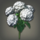 Palelight bloom icon.png