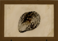 Rivet Oyster print.png