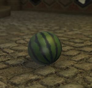 Allagan melon1.jpg