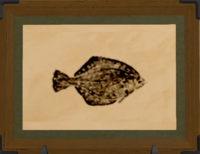 Deep Plaice print.png