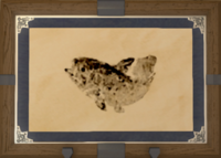 Coelacanth print.png