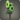 Green sunflowers icon1.png