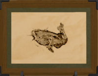 Desert Catfish print.png