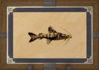 Jungle Catfish print.png