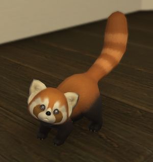 Lesser panda1.jpg