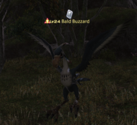 Bald Buzzard.png