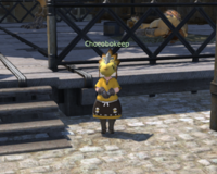 Chocobokeep Horizon.png