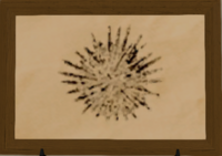 Lake Urchin print.png