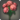 Red hydrangeas icon1.png