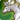 Pegasus icon1.png