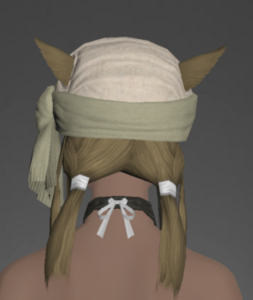 Velveteen Turban rear.png