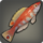 Iris wrasse icon1.png