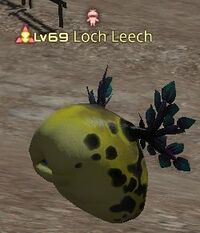 Loch Leech.jpg