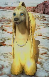 Lustrous Dog.jpg