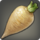 Island parsnip.png