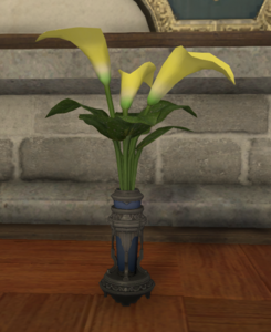 Yellow Arums.png