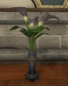 Black Arums.png