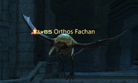 Orthos Fachan.png