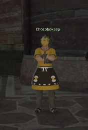 Chocobokeep Ala Mhigan npc.png