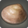 Oversized tideclam icon1.png