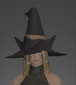 Battlemage's Hat front.png