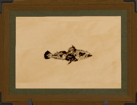 Scholar Sculpin print.png