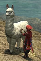 Alpaca Handler (Animal Friendship).jpg