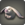 Stuffed porxie icon1.png