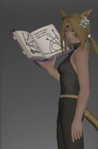 Archaeoskin Grimoire inside.png