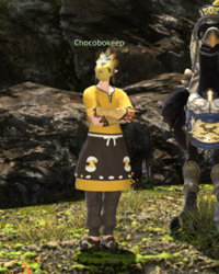 Chocobokeep Tailfeather npc.png