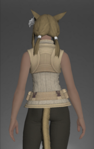 Amateur's Doublet Vest rear.png