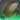 Vidyutvat wrasse icon1.png