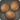 Elder nutmeg seeds icon1.png