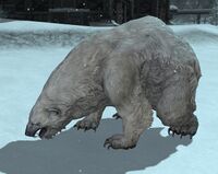 Eblan-bear.jpg