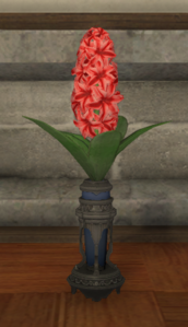 Red Hyacinths.png