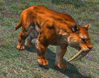 Smilodon.jpg