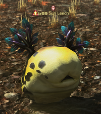 Sun Leech.png