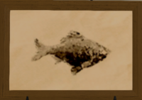 Maiden Carp print.png