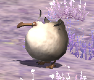 Fledgling Dodo.png